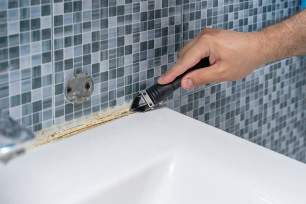 Best Mold Removal Near Me  in Linda, CA