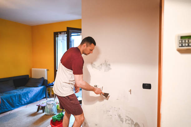 Best Mold Removal Company Near Me  in Linda, CA