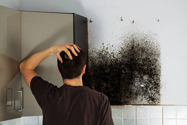 Best Residential Mold Removal  in Linda, CA